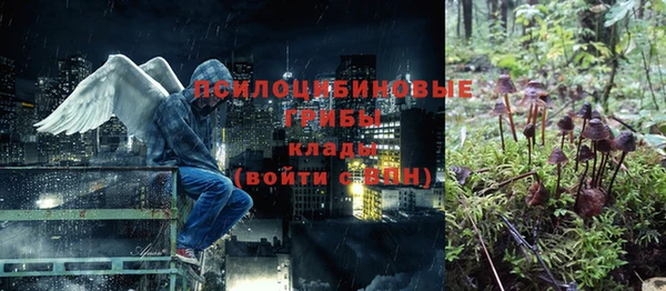 сатива Аркадак