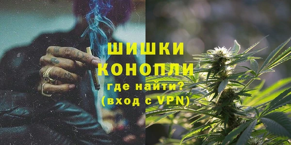 PSILOCYBIN Армянск