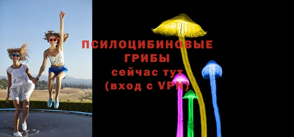 а пвп мука Арсеньев