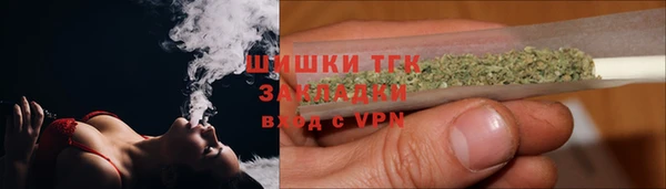 сатива Аркадак