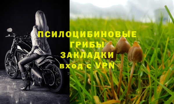 сатива Аркадак
