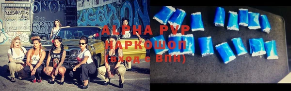 сатива Аркадак