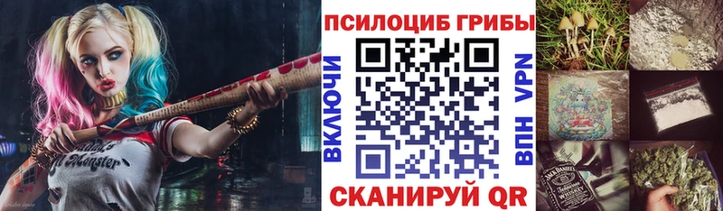 купить наркоту  Саянск  Галлюциногенные грибы Cubensis 